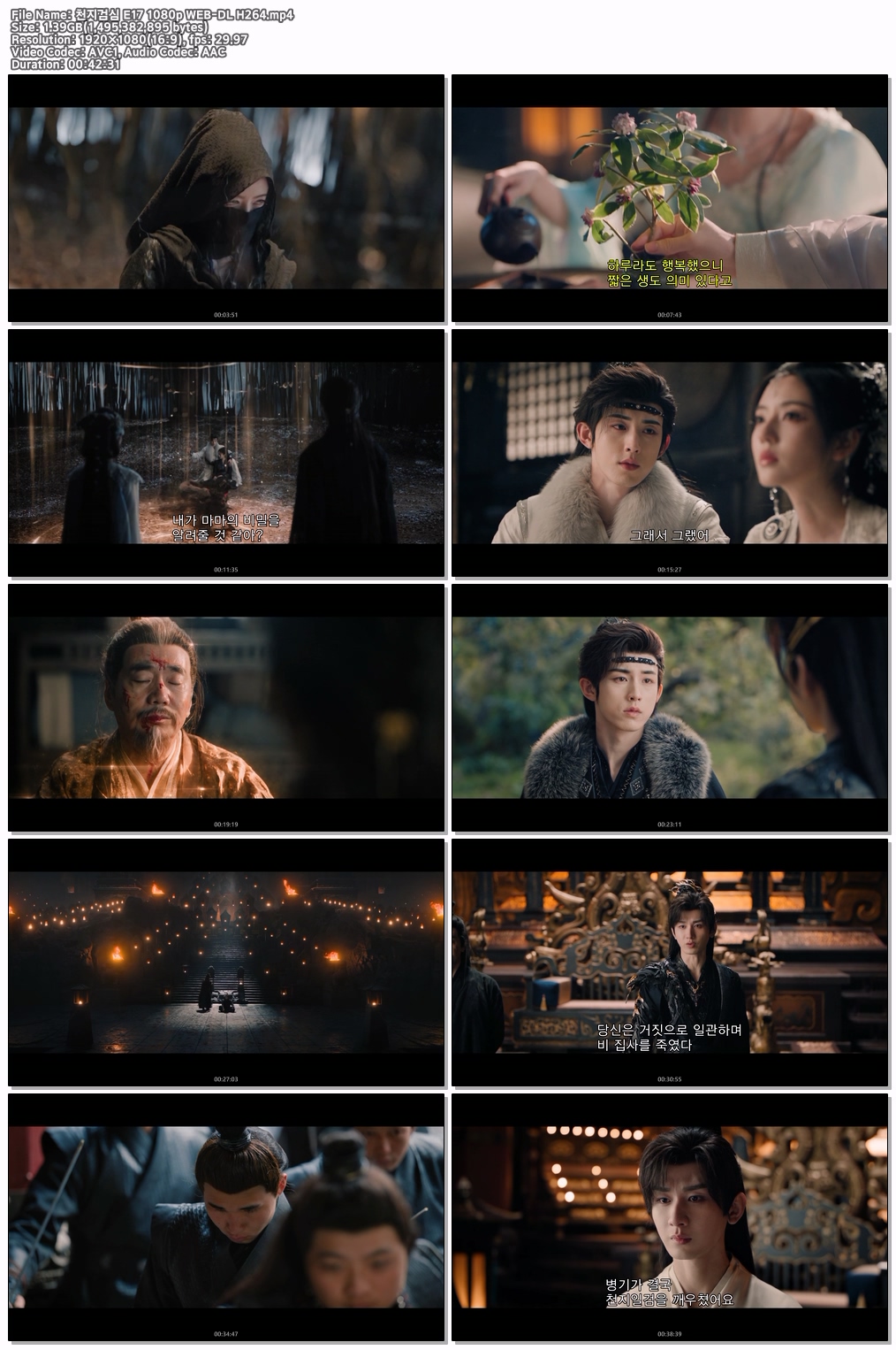 천지검심 E17 1080p WEB-DL H264