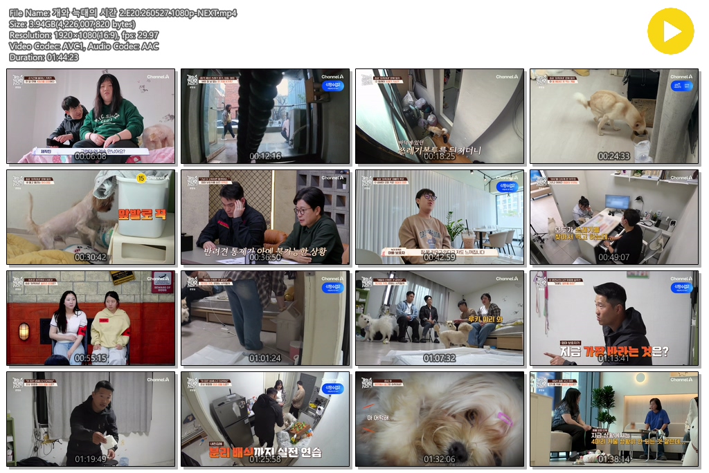 개와 늑대의 시간 2.E20.260527.1080p-NEXT