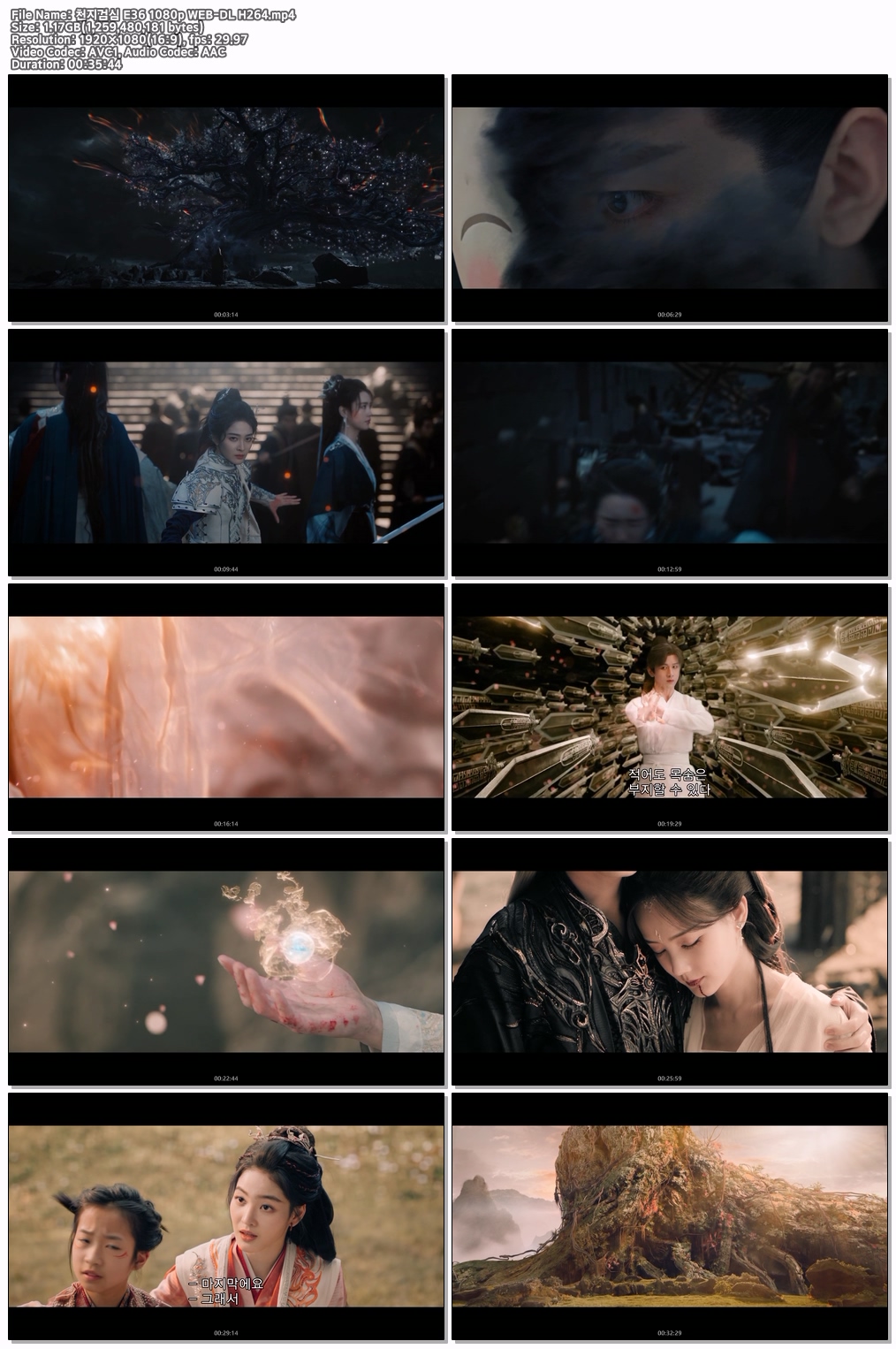 천지검심 E36 최종화 1080p WEB-DL H264