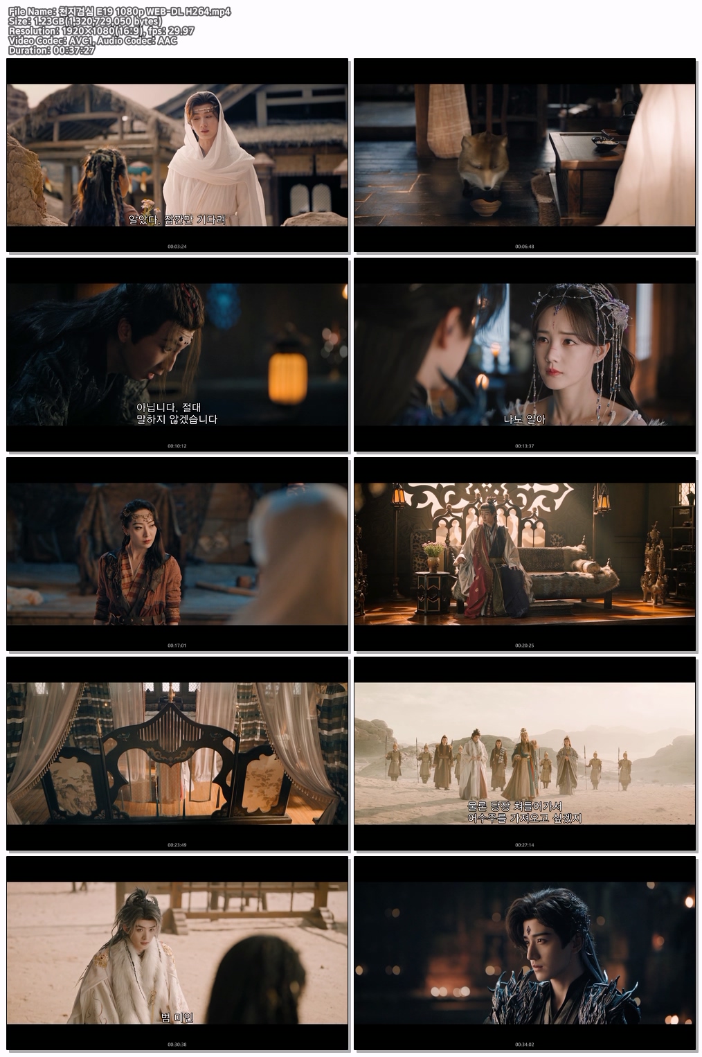 천지검심 E19 1080p WEB-DL H264