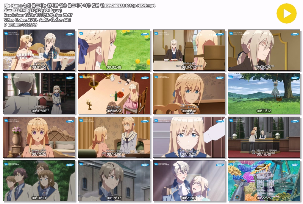 놓친 물고기는 컸지만 잡은 물고기가 너무 컸던 건.E09.260528.1080p-NEXT