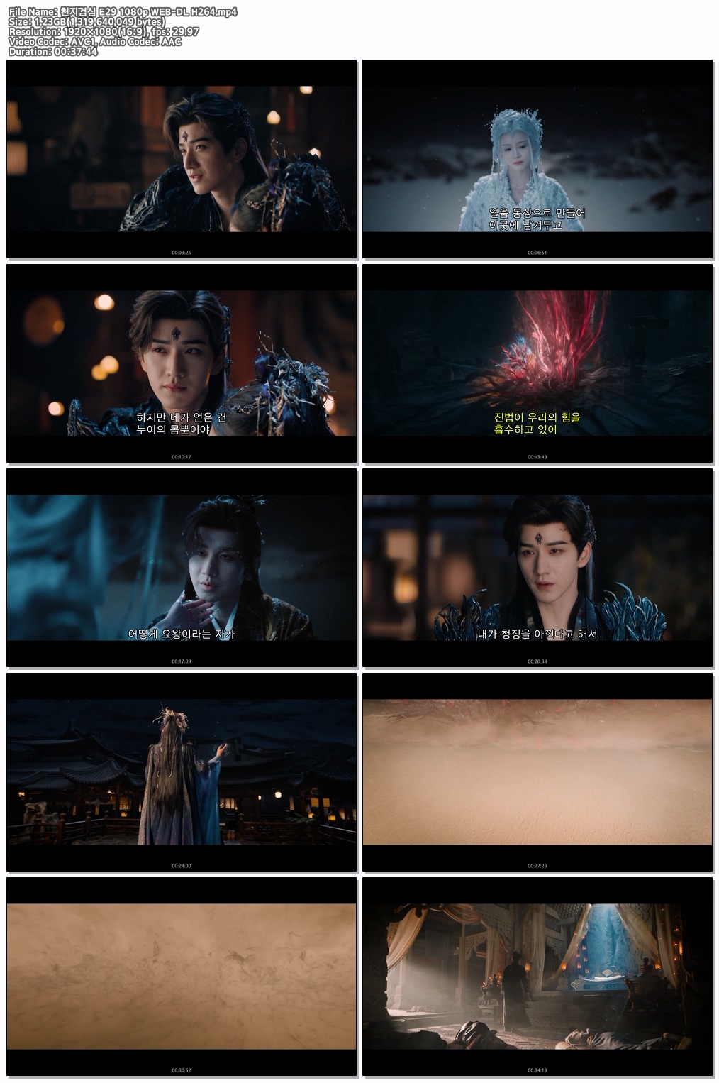 천지검심 E29 1080p WEB-DL H264