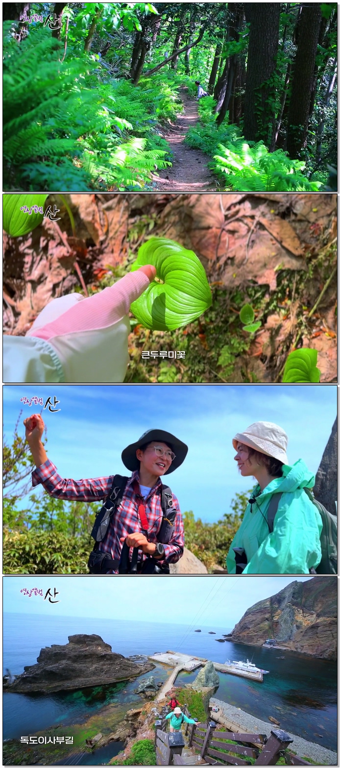 영상앨범 산.E1042.260531.1080p.WEB-DL.H264.AAC