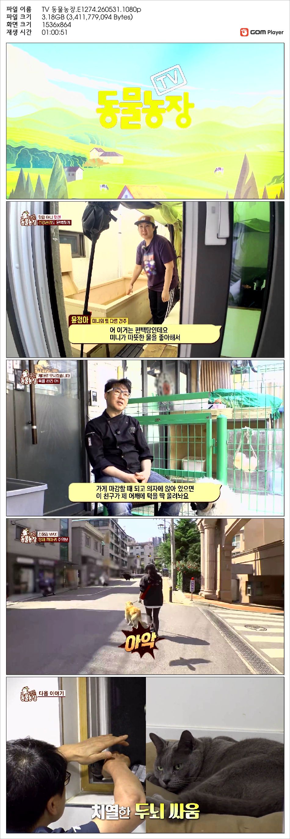 TV 동물농장.E1274.260531.1080p