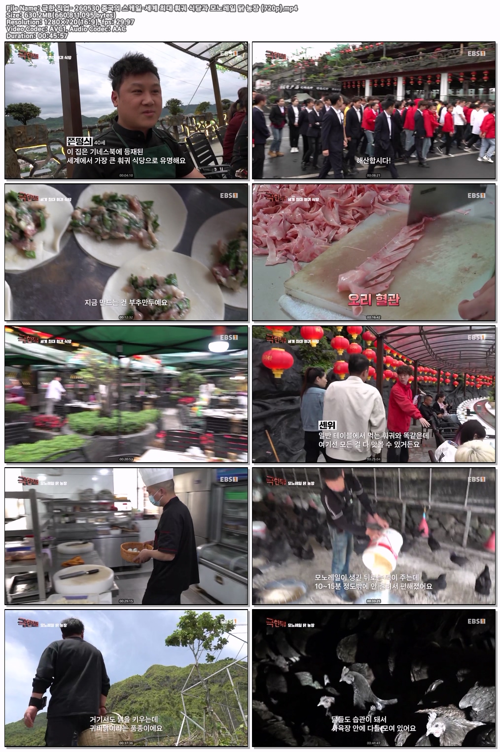 극한 직업- 260530 중국의 스케일-세계 최대 훠궈 식당과 모노레일 닭 농장 (720p)