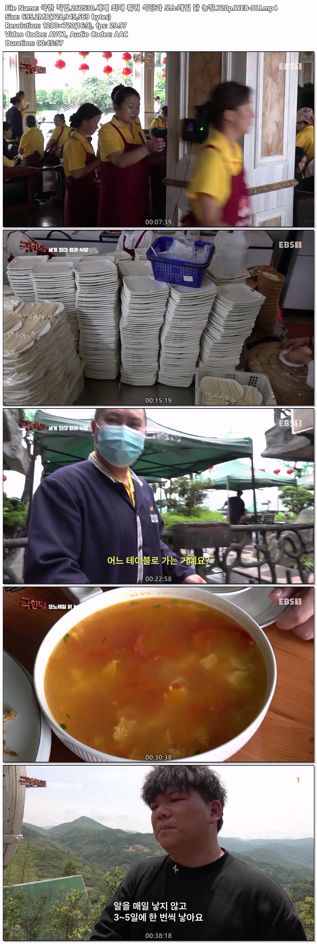 극한 직업.260530.세계 최대 훠궈 식당과 모노레일 닭 농장.720p.WEB-DLI