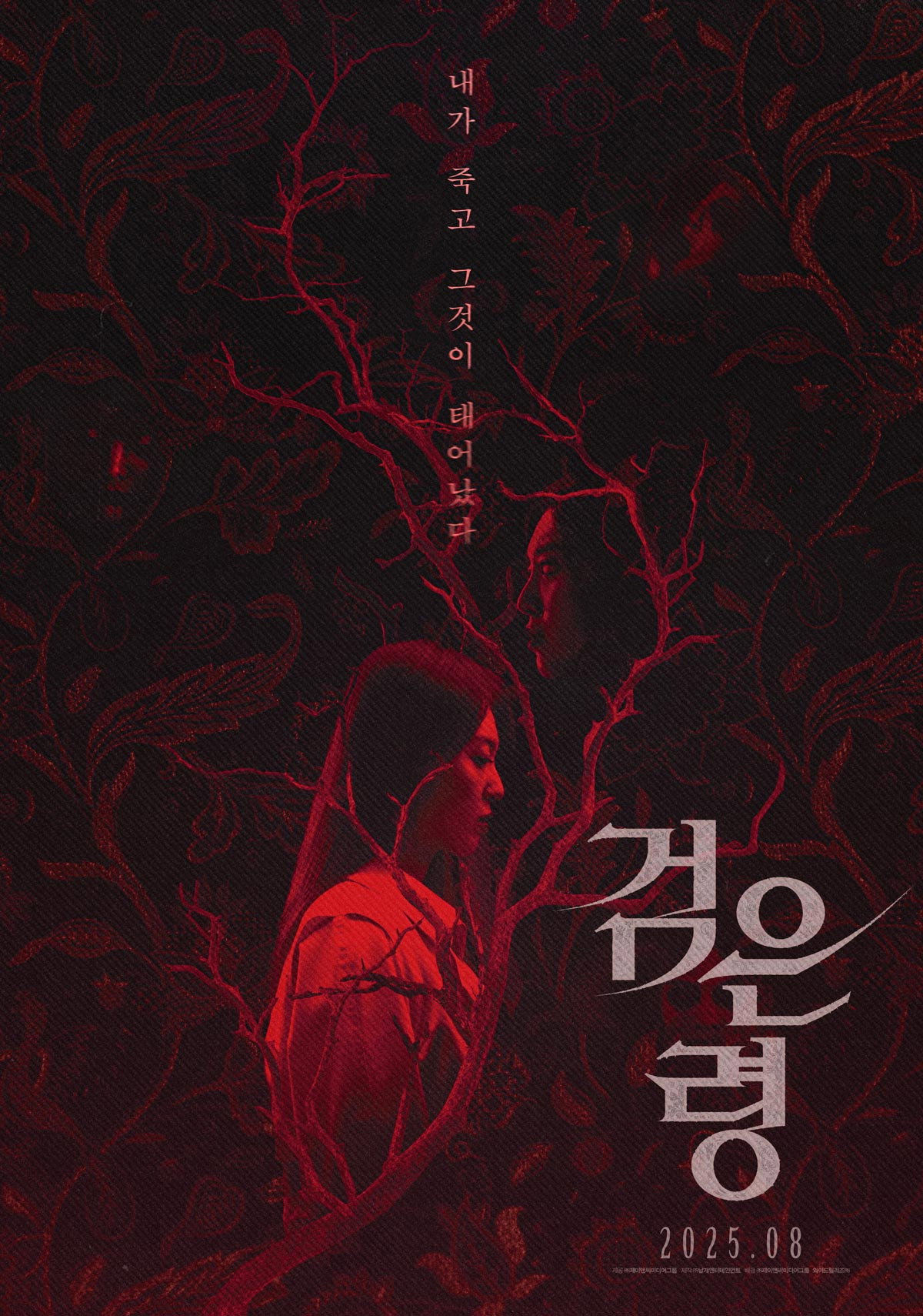 검은 령 480p