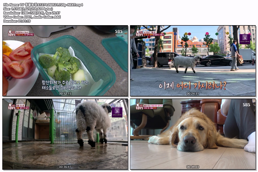 TV 동물농장.E1274.260531.720p-NEXT