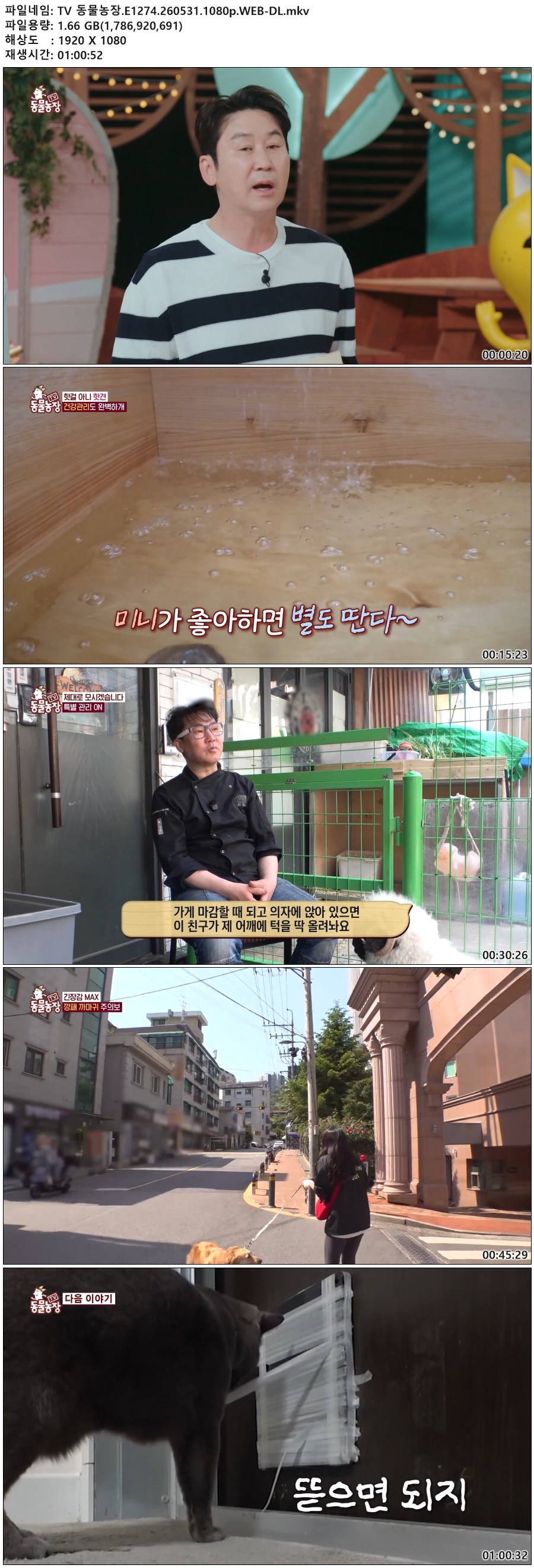 TV 동물농장.E1274.260531.1080p.WEB-DL