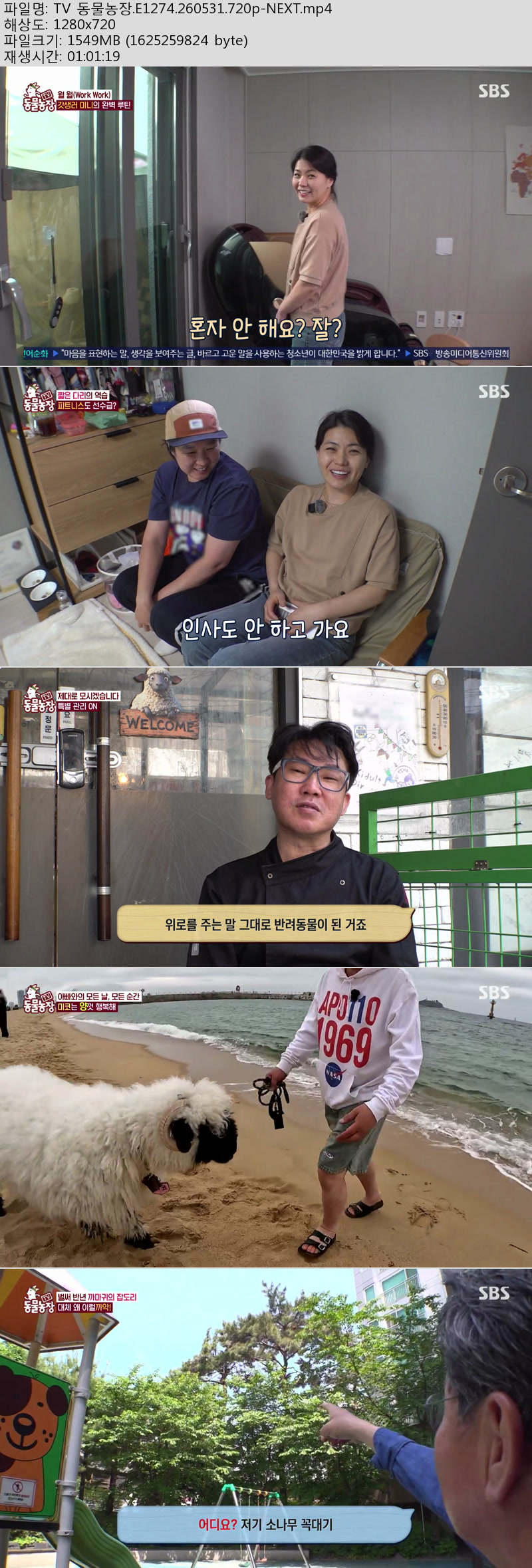 TV 동물농장.E1274.260531.720p-NEXT