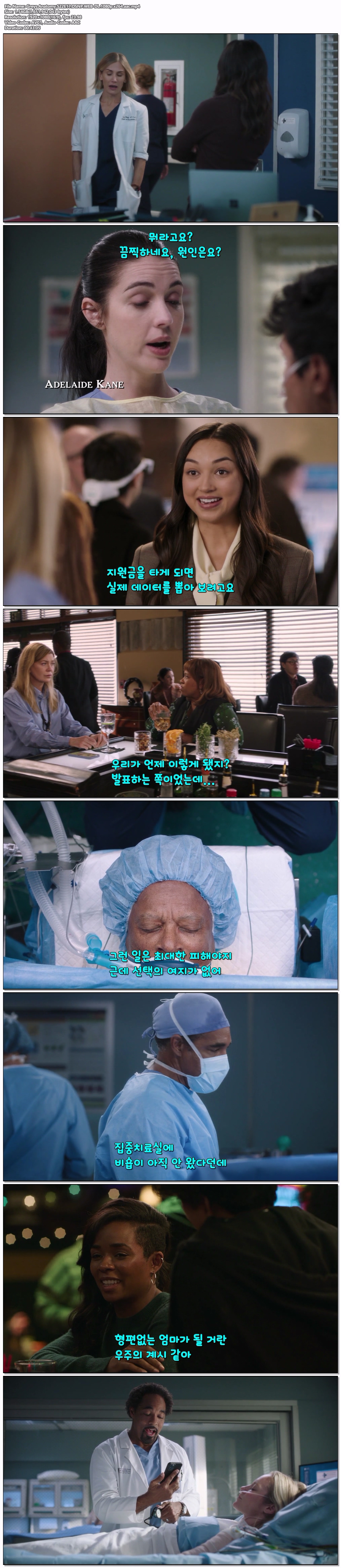 그레이아나토미(Greys Anatomy) 시즌22  17화-18화