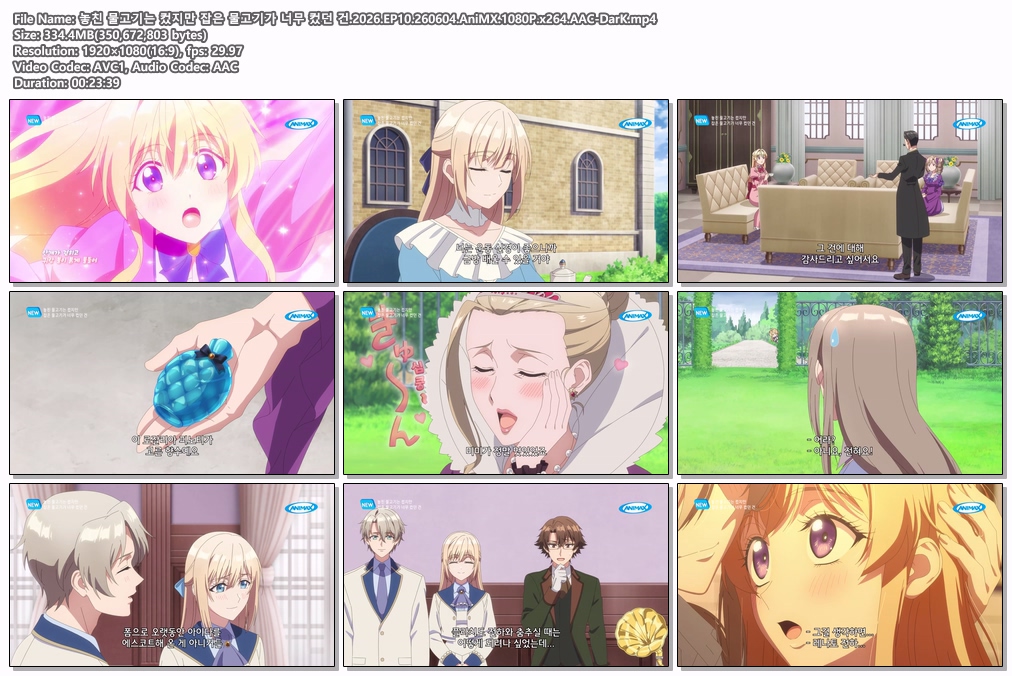 놓친 물고기는 컸지만 잡은 물고기가 너무 컸던 건.2026.EP10.260604.AniMX.1080P.x264.AAC-DarK