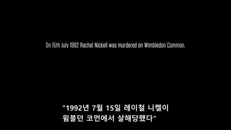 어린 목격자 The Witness 3부작 한글선택자막