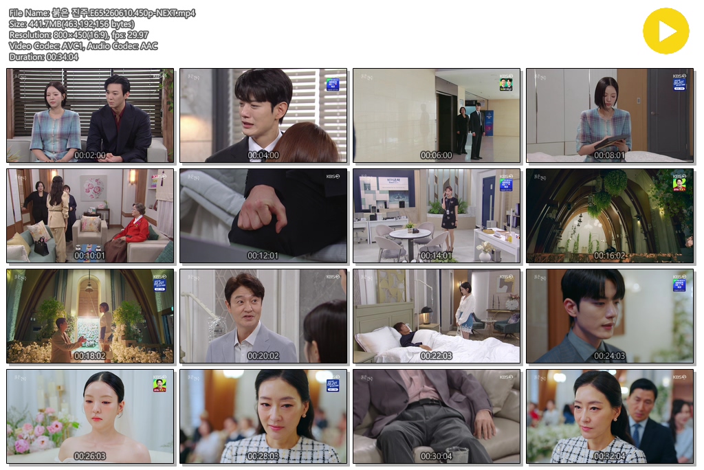 붉은 진주.E65.260610.450p-NEXT