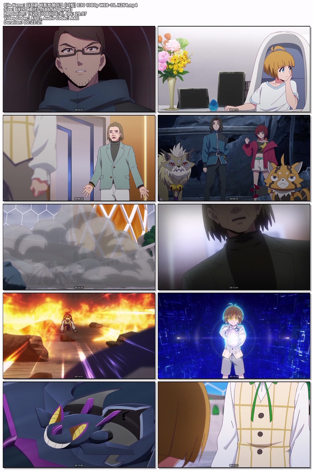 디지몬 비트브레이크 (더빙) E30 1080p WEB-DL H264