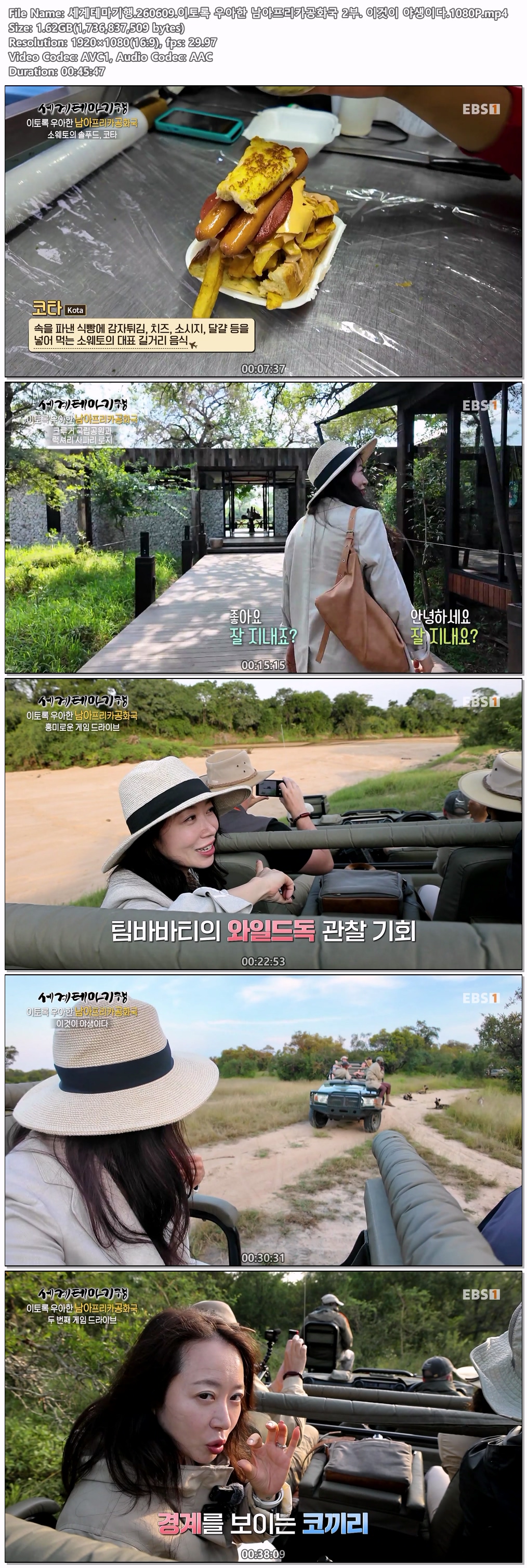 세계테마기행.260609.이토록 우아한 남아프리카공화국 2부. 이것이 야생이다.1080P