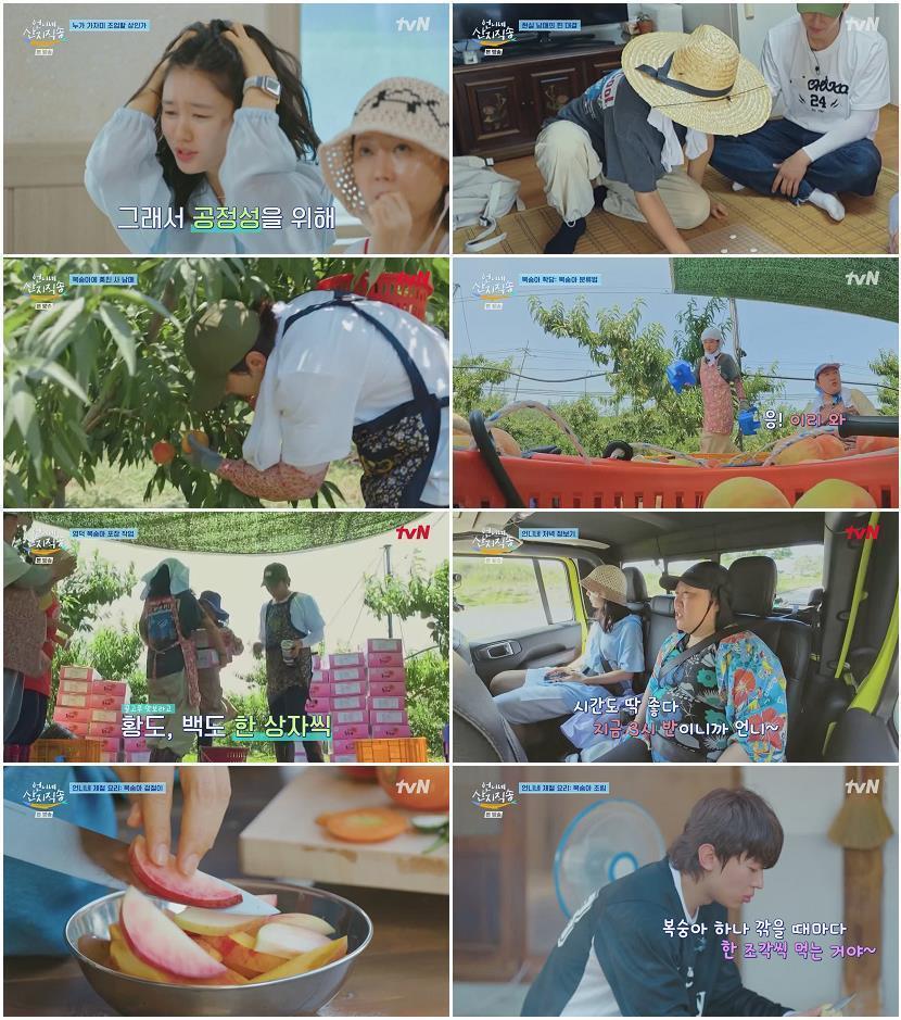 언니네 산지직송.E04.240808.720p-NEXT