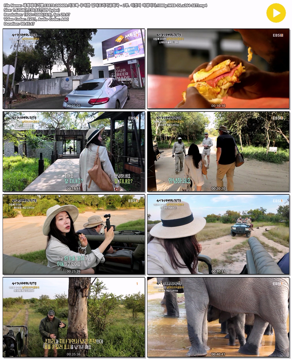 세계테마기행.E3878.260609.이토록 우아한 남아프리카공화국 - 2부. 이것이 야생이다.1080p.WEB-DL.x264-SETI