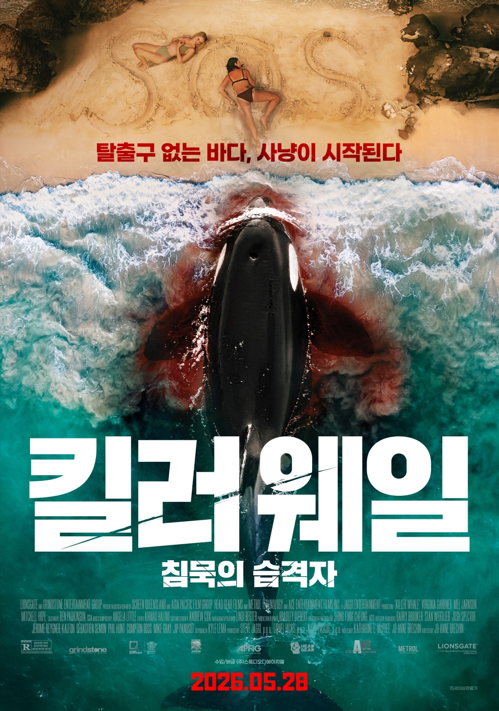 킬러 웨일 2026 "수족관의 벽을 부수고 나온 최상위 포식자 범고래. 외딴 섬, 고립된 두 친구, 그리고 멈추지 않는 공격!"