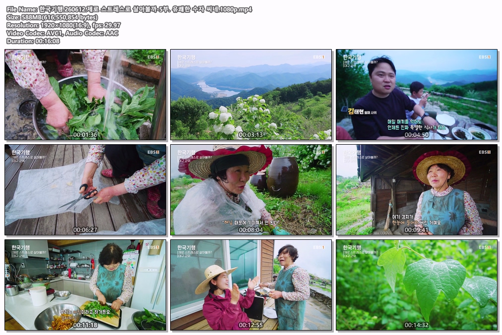 한국기행.260612.제로 스트레스로 살아볼까-5부. 유쾌한 수자 씨네.1080p