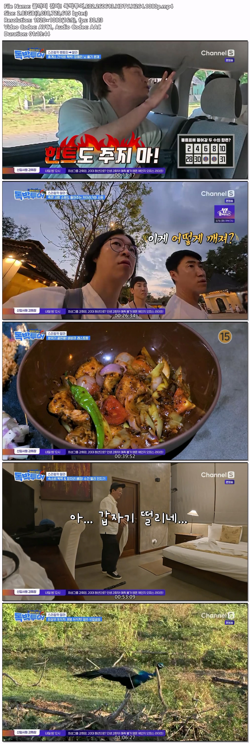 끝까지 간다! 독박투어.E02.260613.HDTV.H264.1080p