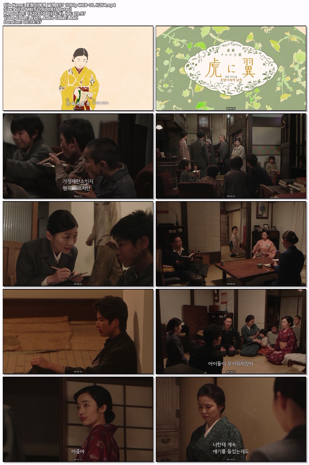 호랑이에게 날개 E57~E58 1080p WEB-DL H264