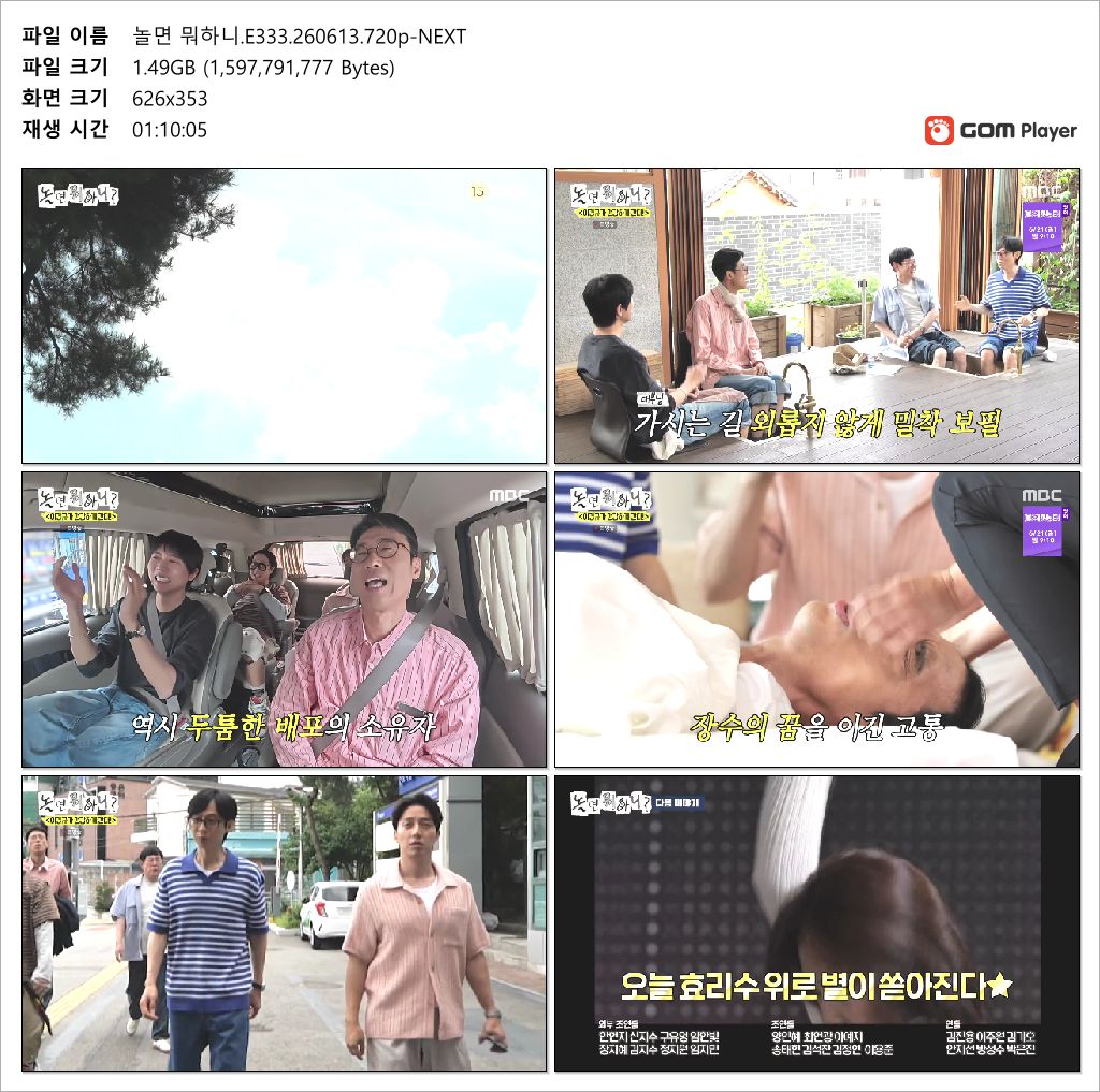 놀면 뭐하니.E333.260613.1080p.H264-F1RST