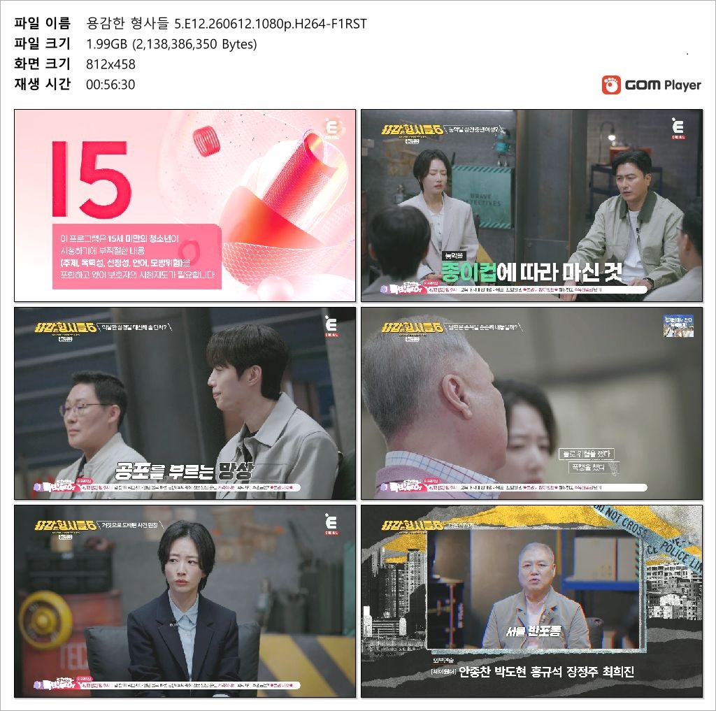 용감한 형사들 5.E12.260612.1080p.H264-F1RST