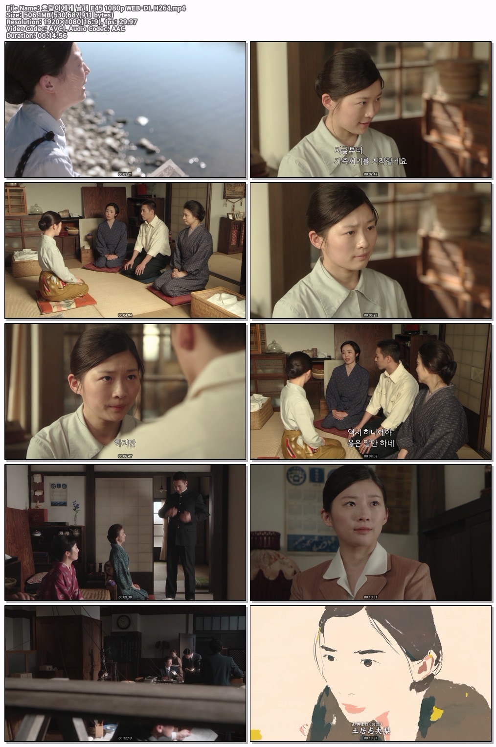 호랑이에게 날개 E45~E46 1080p WEB-DL H264
