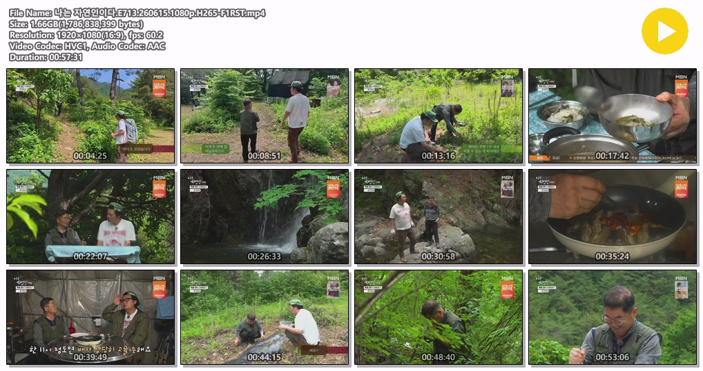 나는 자연인이다.E713.260615.1080p.H265-F1RST