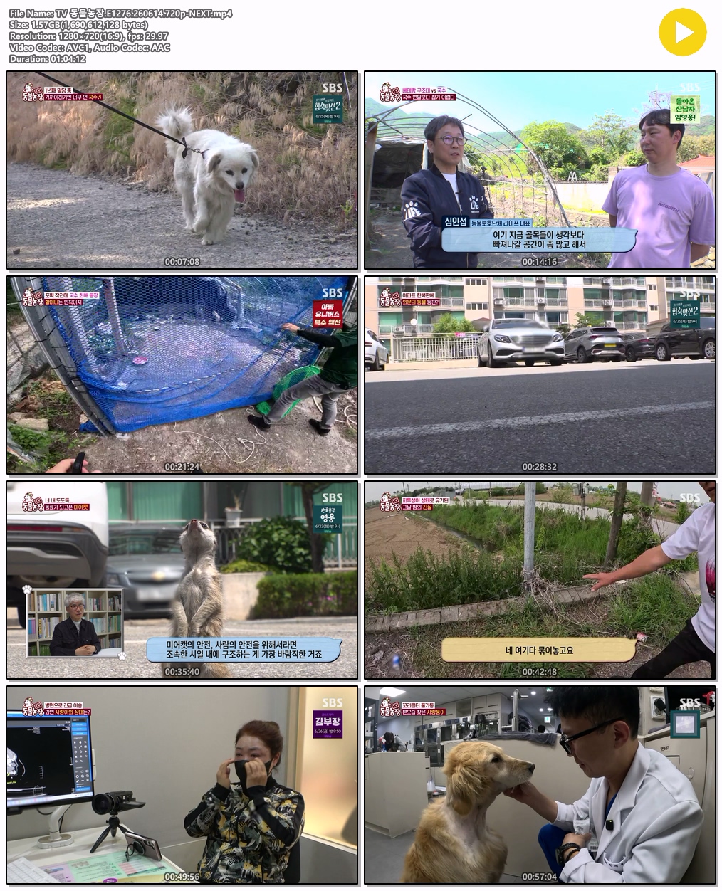 TV 동물농장.E1276.260614.720p-NEXT