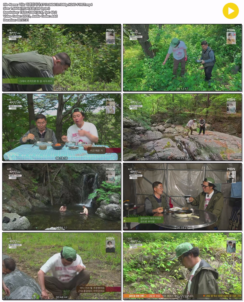 나는 자연인이다.E713.260615.1080p.H265-F1RST