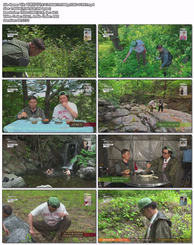 나는 자연인이다.E713.260615.1080p.H265-F1RST