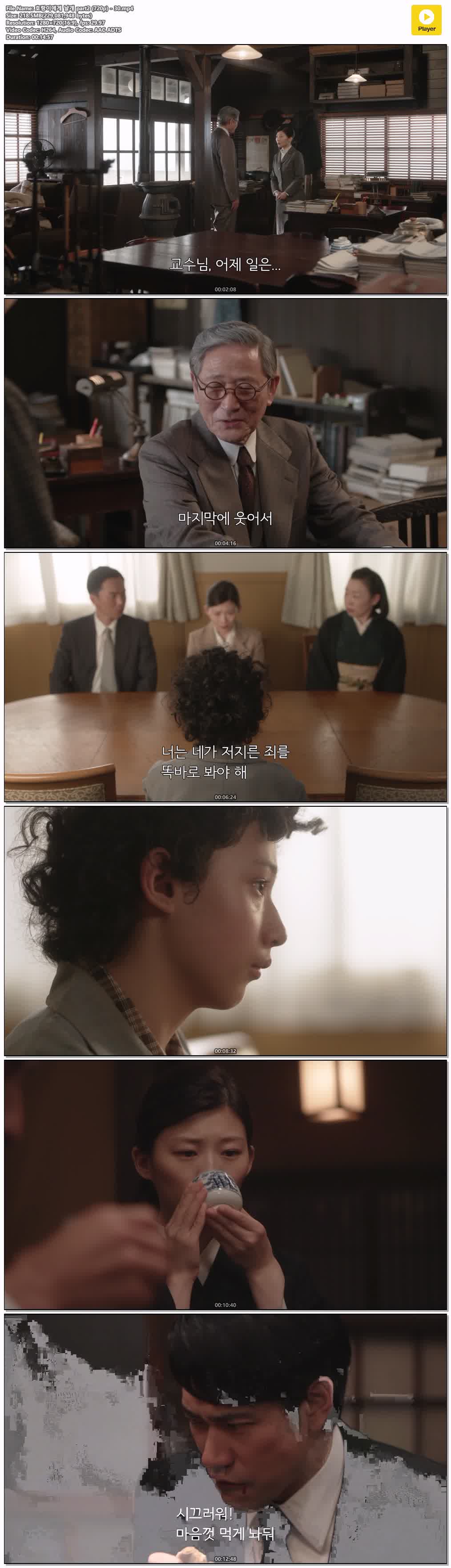 호랑이에게 날개 part2 (720p) - 30