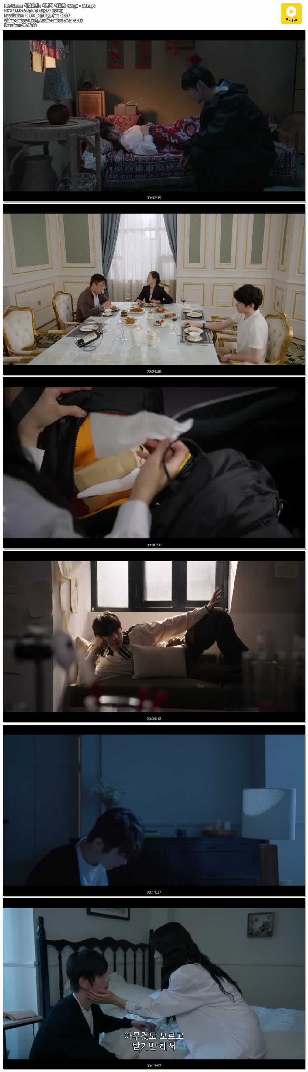 치열흡인：치명적 이끌림 (480p) - 36