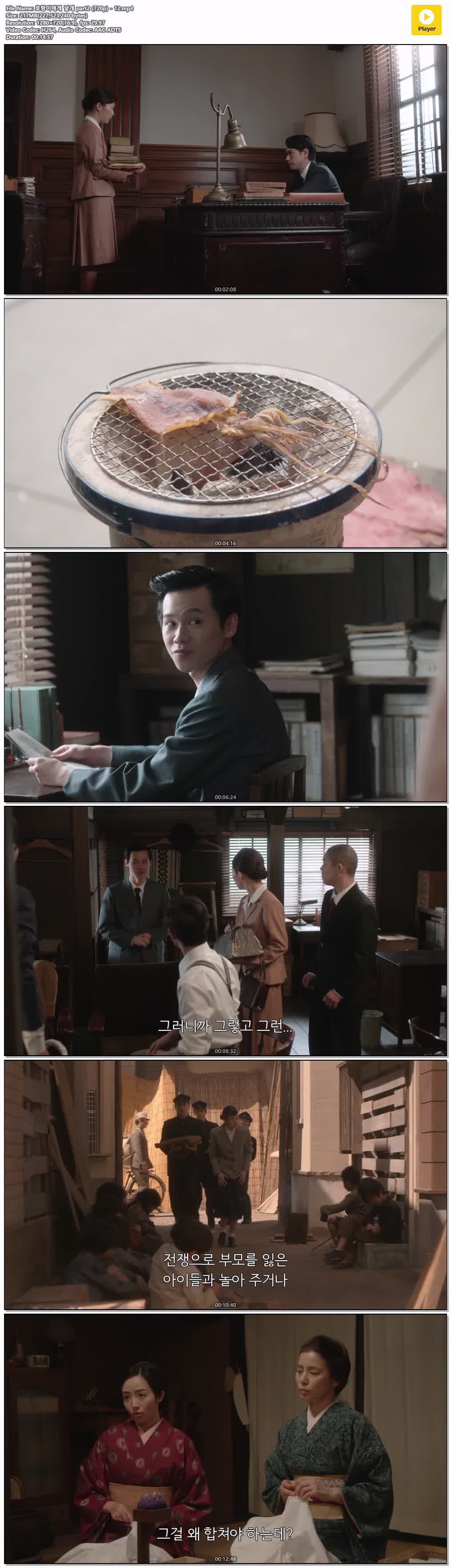 호랑이에게 날개 part2 (720p) - 12