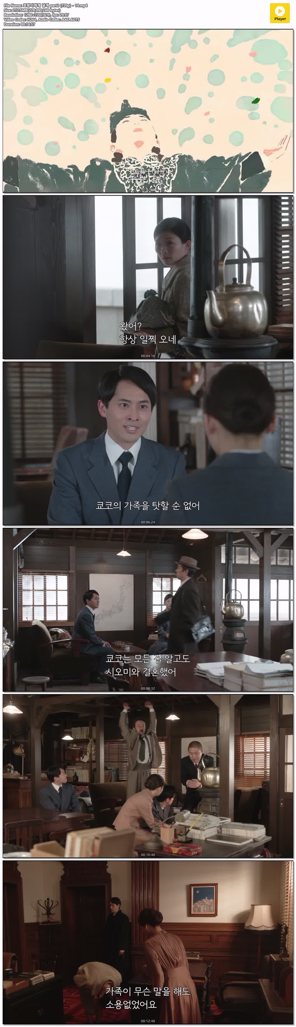 호랑이에게 날개 part2 (720p) - 14