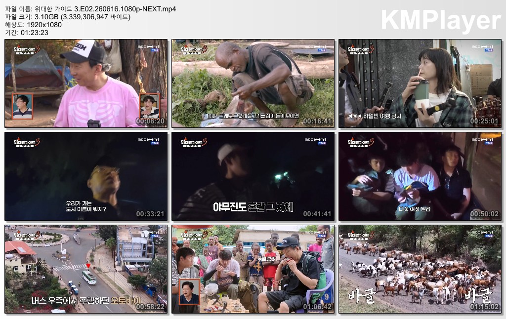 위대한 가이드 3.E02.260616.1080p-NEXT