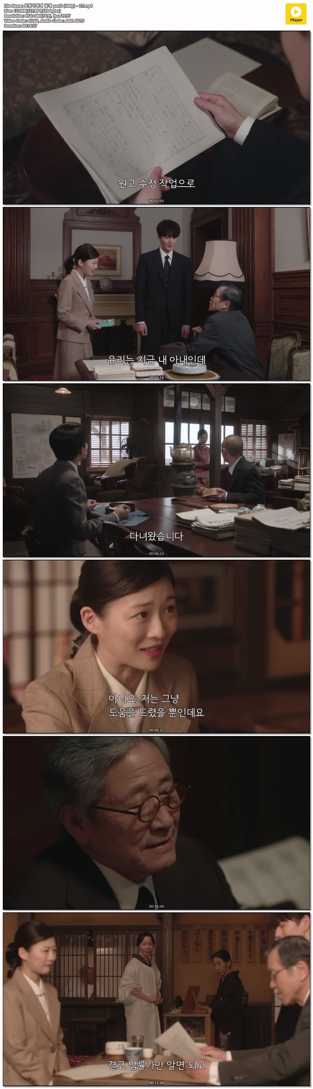호랑이에게 날개 part2 (480p) - 27