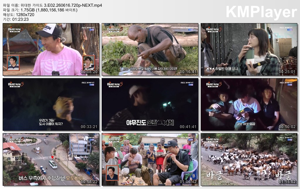 위대한 가이드 3.E02.260616.720p-NEXT