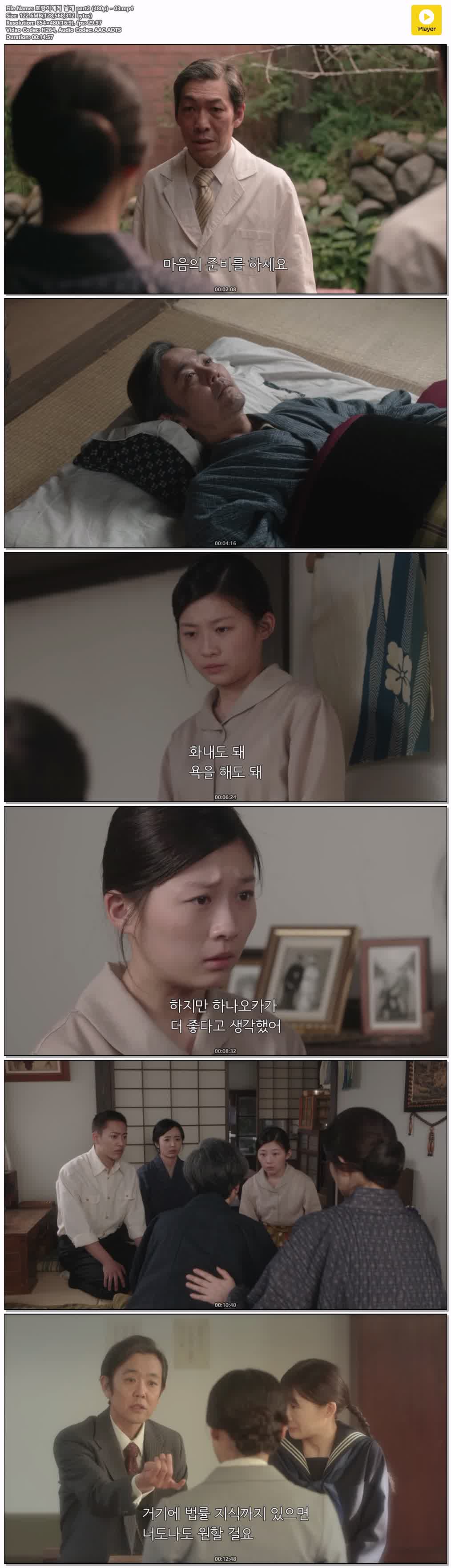 호랑이에게 날개 part2 (480p) - 03