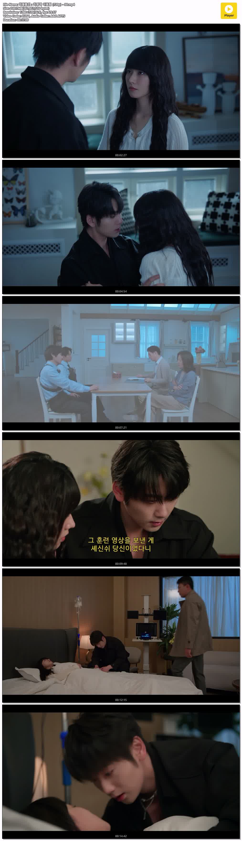 치열흡인：치명적 이끌림 (720p) - 30