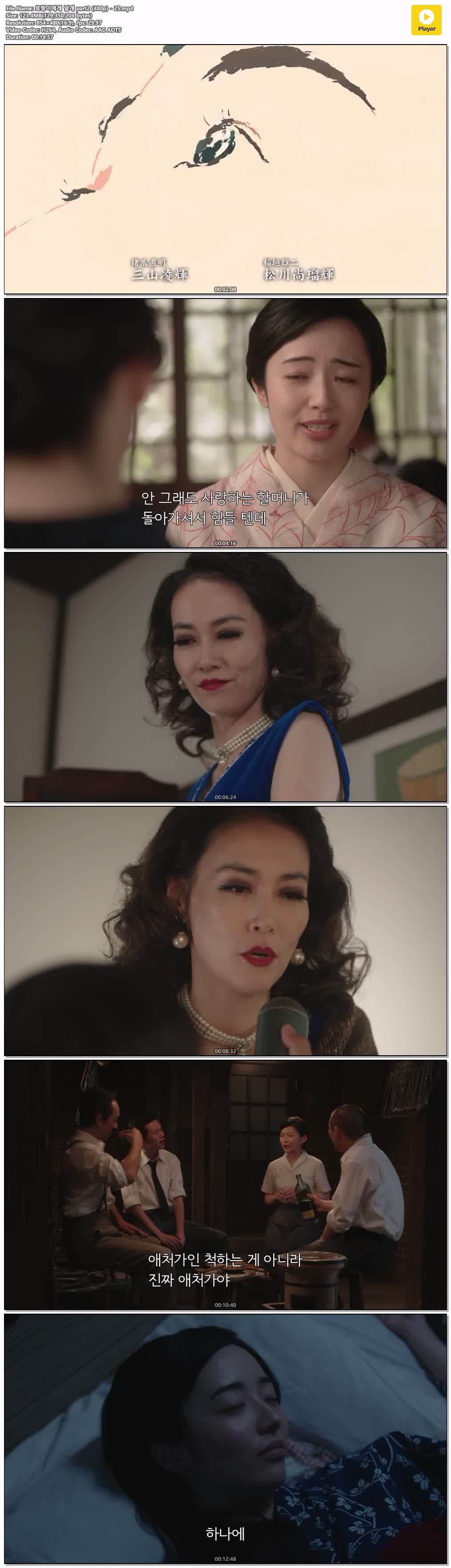 호랑이에게 날개 part2 (480p) - 25