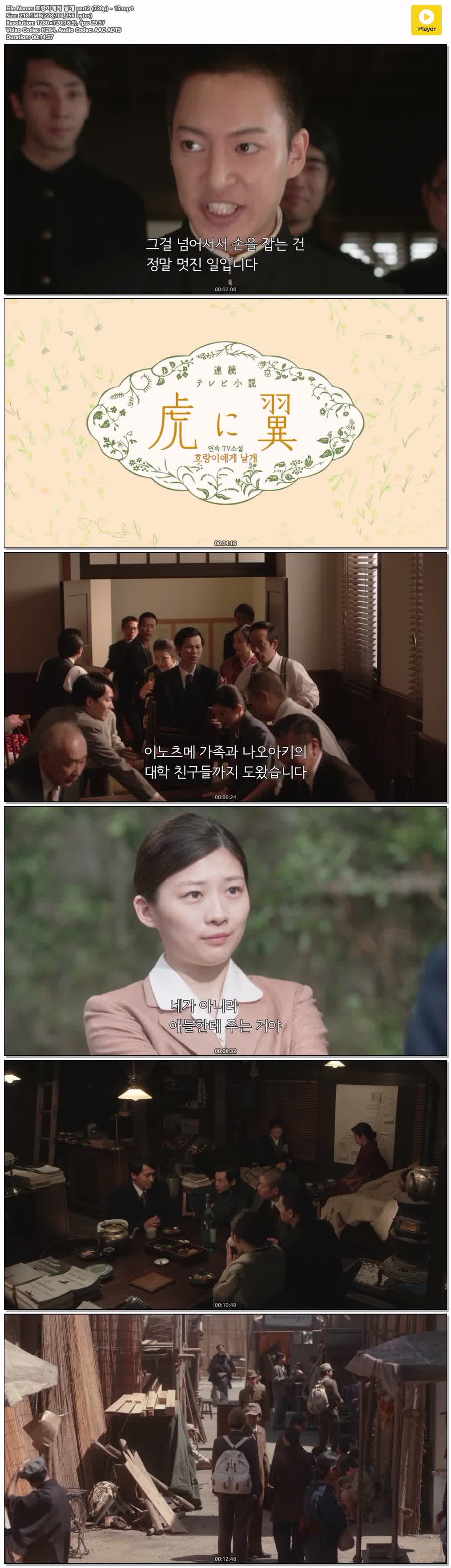 호랑이에게 날개 part2 (720p) - 15