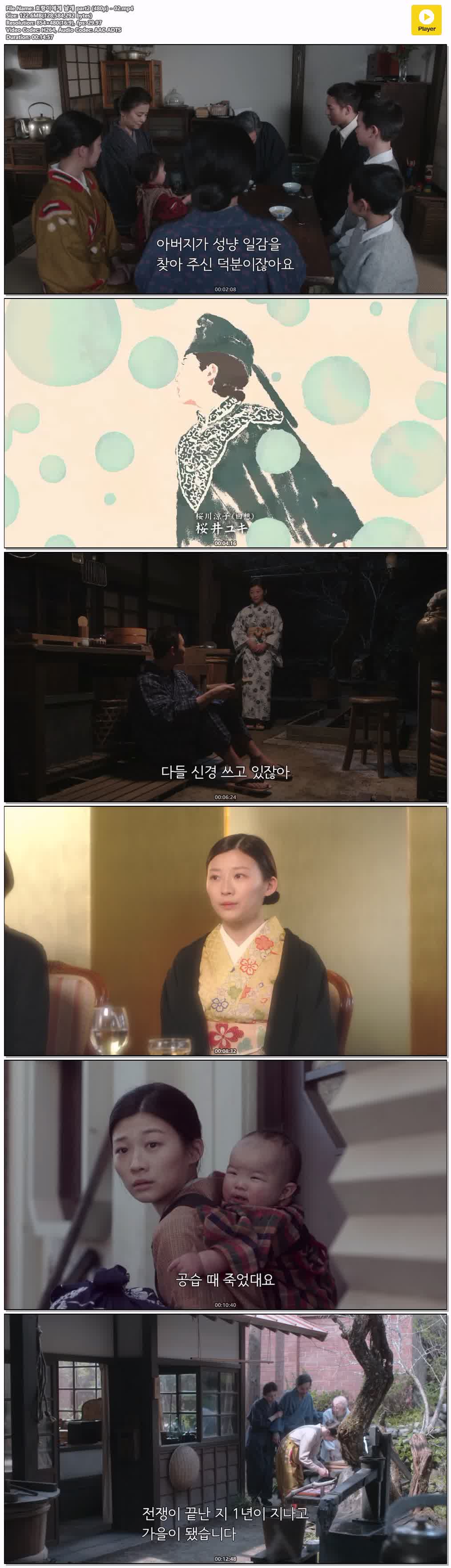 호랑이에게 날개 part2 (480p) - 02