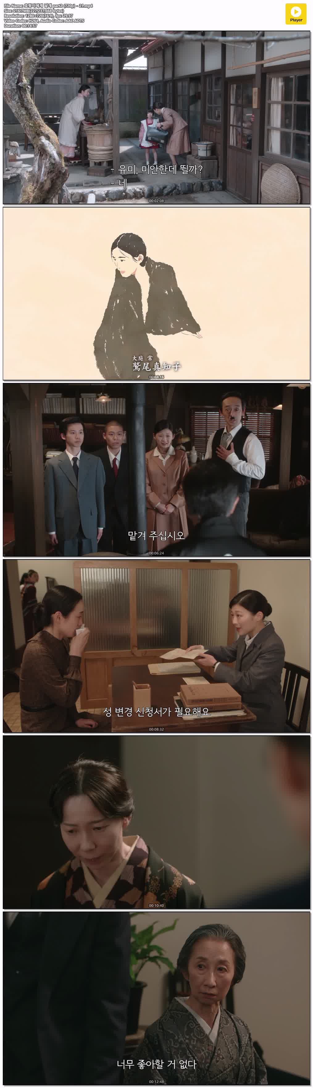 호랑이에게 날개 part2 (720p) - 21