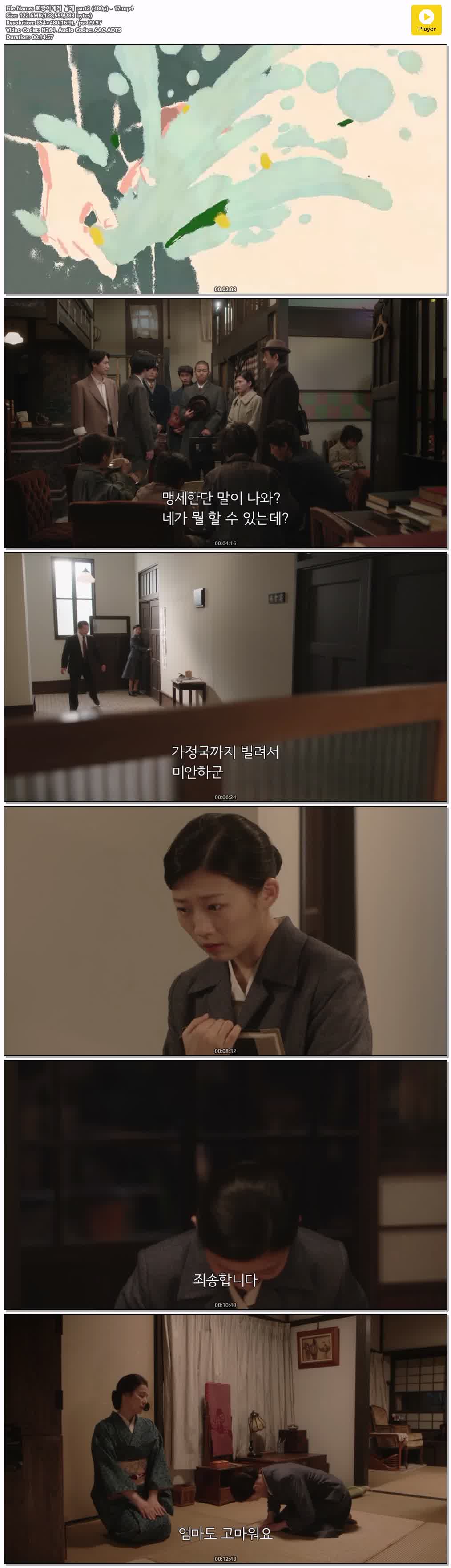 호랑이에게 날개 part2 (480p) - 17