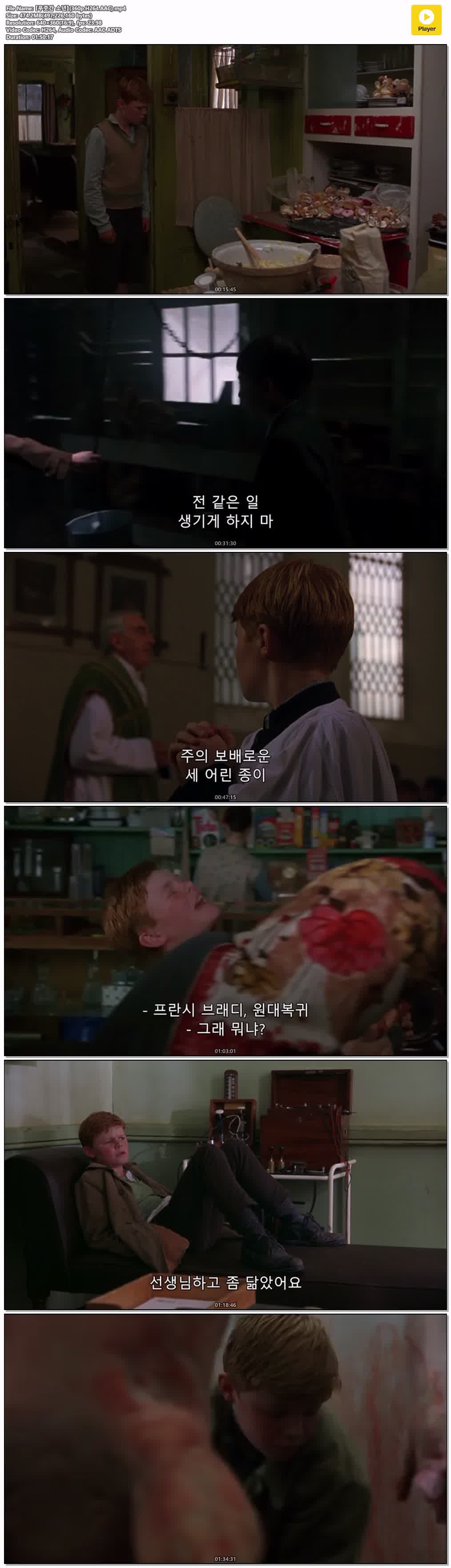 【푸줏간 소년】(360p.H264.AAC)