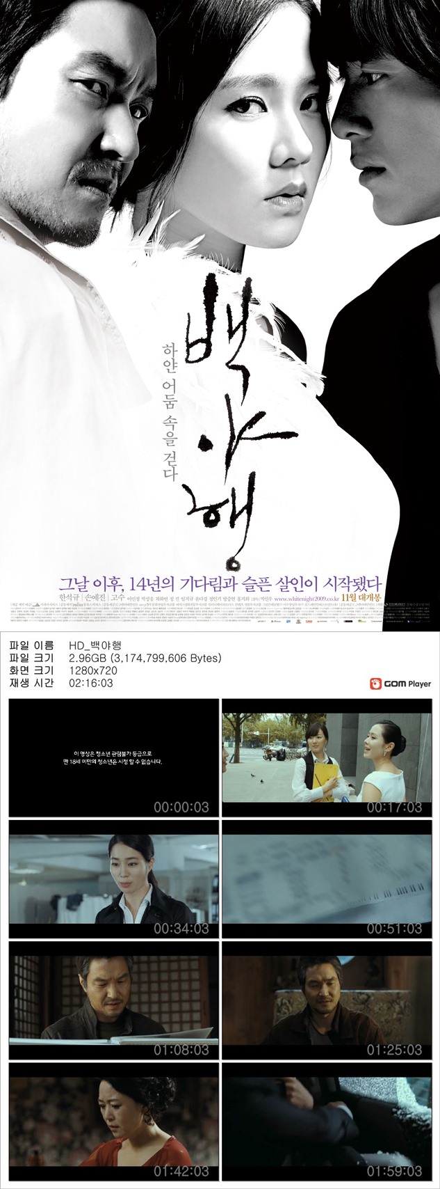 [백야행 하얀 어둠 속을 걷다] 14년의 기다림과 슬픈 살인