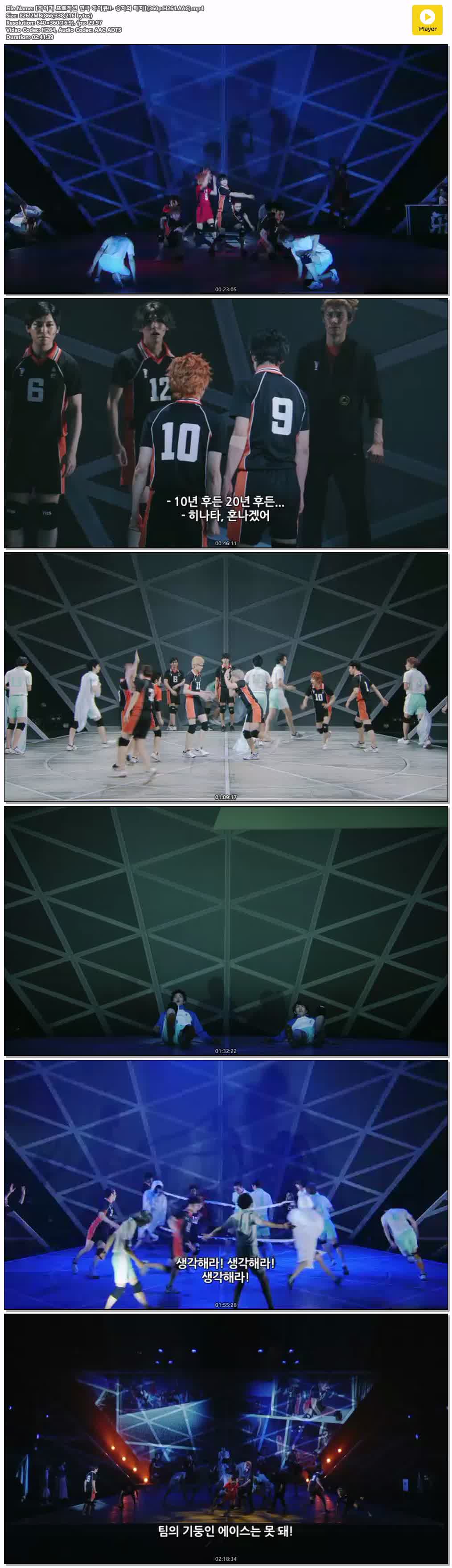 【하이퍼 프로젝션 연극 하이큐!!- 승자와 패자】(360p.H264.AAC)